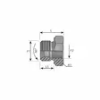 LYHYT SUPISTUSNIPPA BSP 1/4-1/8 UK-SK - Hydrauliikkaliittimet - BSP2030402 - 3